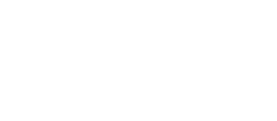 Dyno